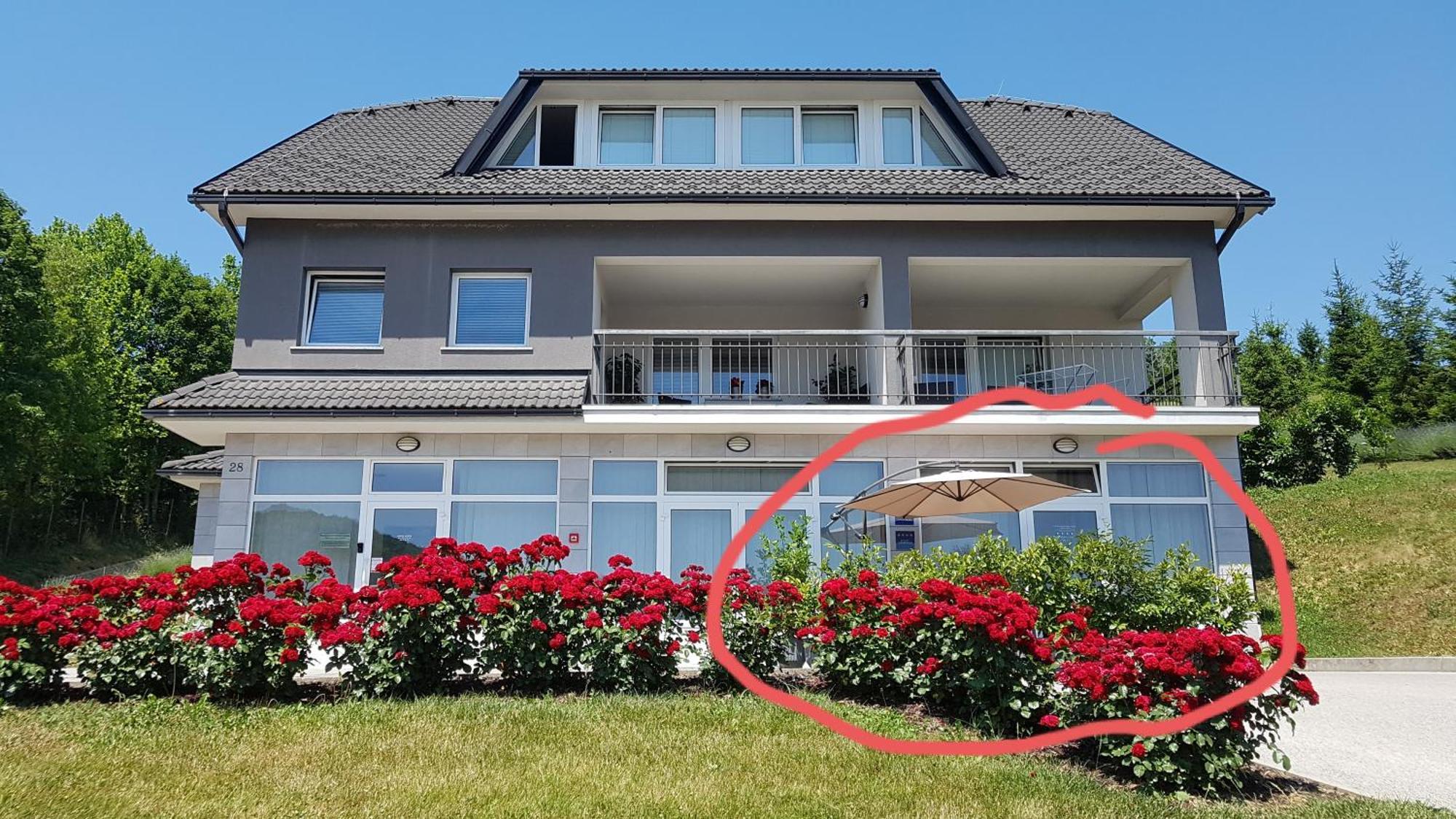 Apartmani Sanja Krapinske Toplice Rum bild