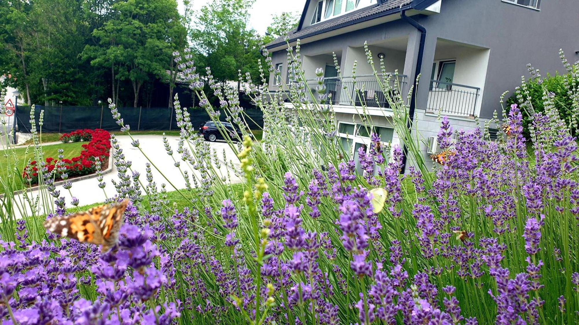 Apartmani Sanja Krapinske Toplice Exteriör bild